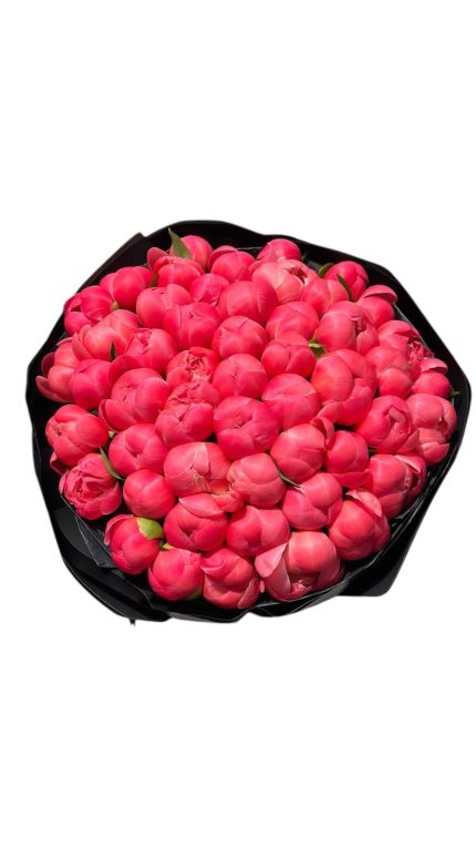 Букет з 51 півонії, сорту  Coral Charm